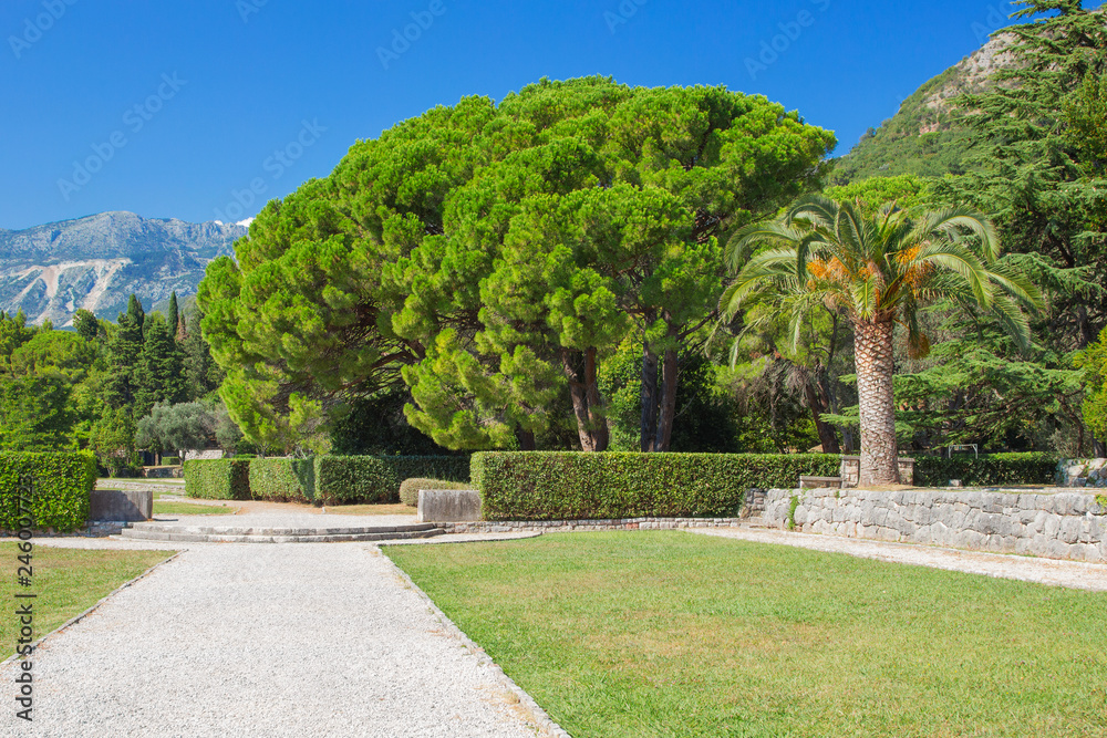 Park green area with a path of rubble and a lush variety of vegetation and mountains in the background