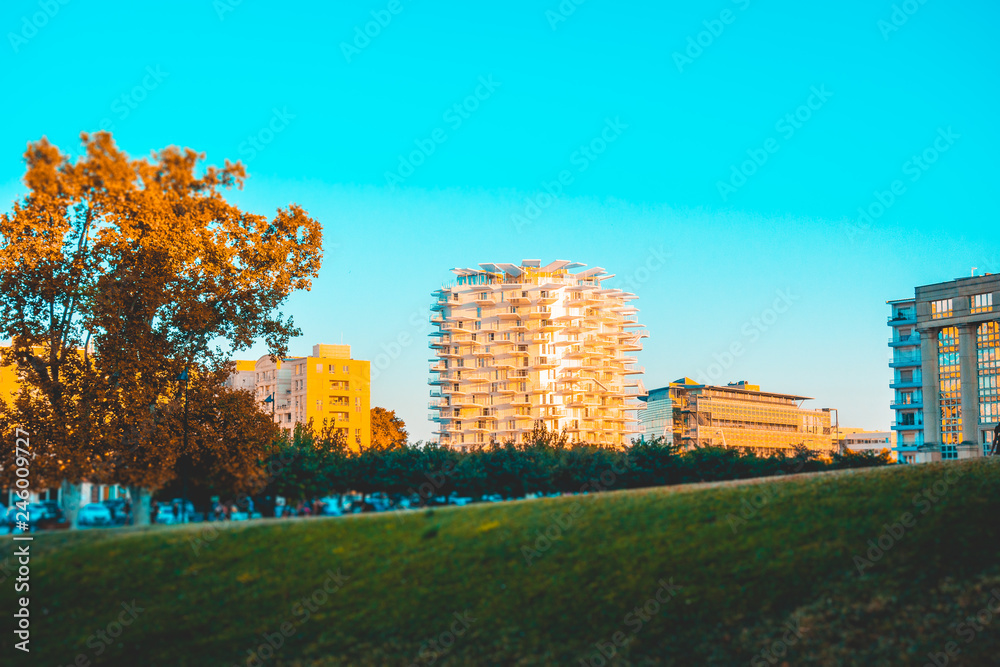 Montpellier sunset park scene and white tree tower