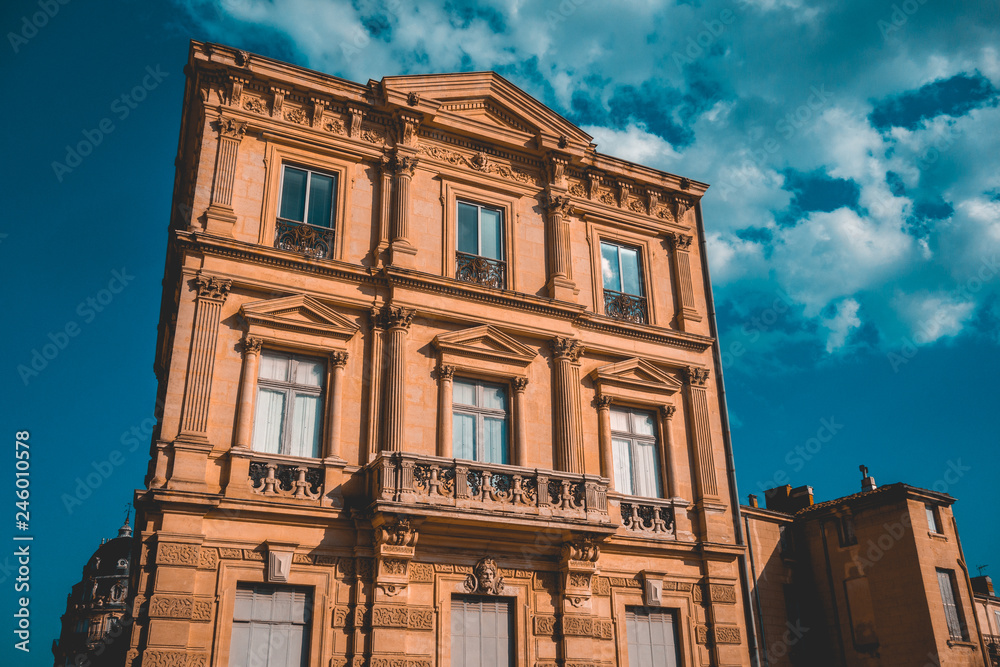 Fototapeta premium residential house with ornamental facade in high contrasts