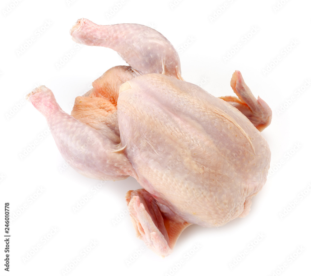 Chicken carcass or broiler chicken isolated on white background