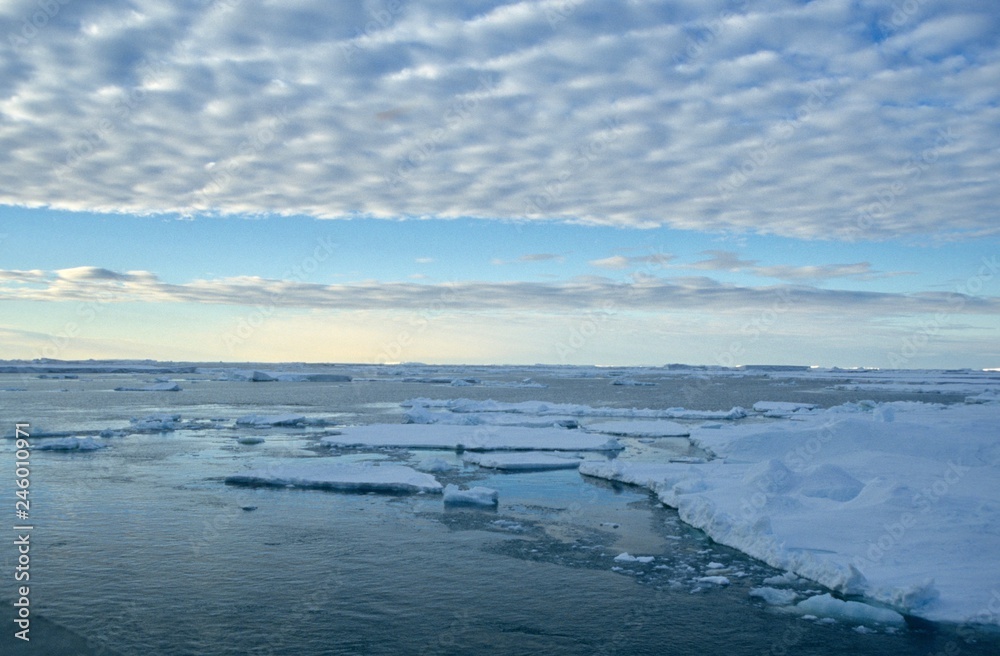 Fototapeta premium Antarctica; ice landscape on the ocean