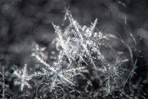 Snowflake on a defocused background - macro photo © Oleg_Yakovlev