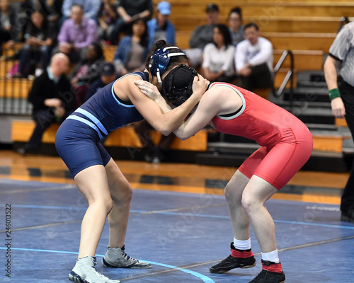 Obraz na plátně High School wrestlers competing at a wrestling meet.