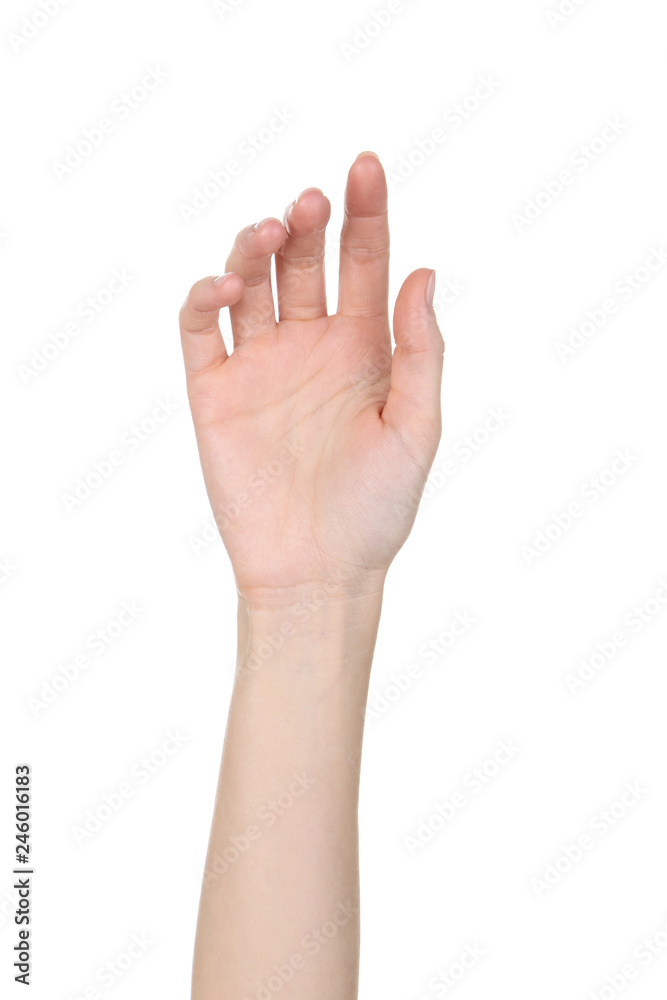 Female hand isolated on white background Female hand isolated on white background
