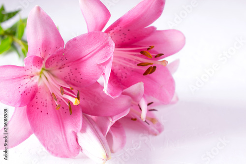 A bouquet of light pink lilies on white background.