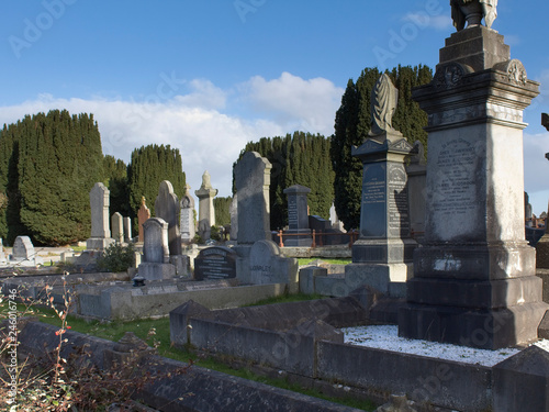 Headstones and monuments in a cemetery