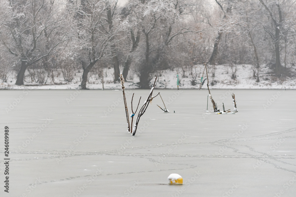 Naklejka premium Colorful landscape with snowy trees and beautiful frozen river.