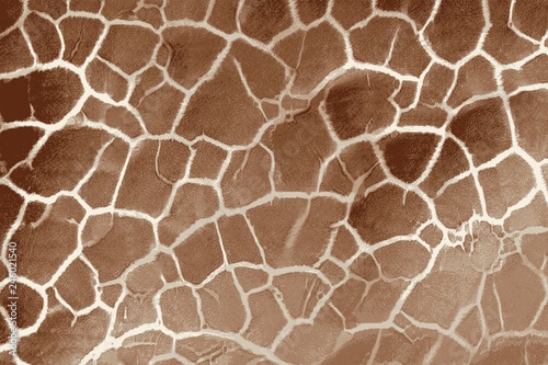 Canvas Print Texture of a giraffe skin and hair with spotted fur