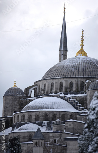 Sultan Ahmet in Winter - Detail