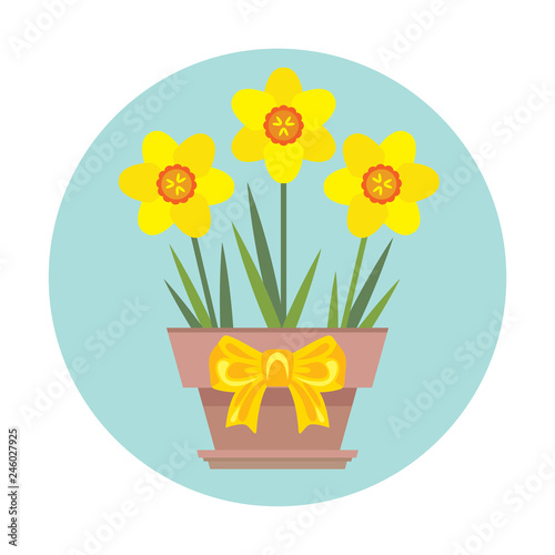 Vector potted daffodil flowers with yellow bow. Icon. Greeting card template with narcissus illustration. Spring flowers in flat style.