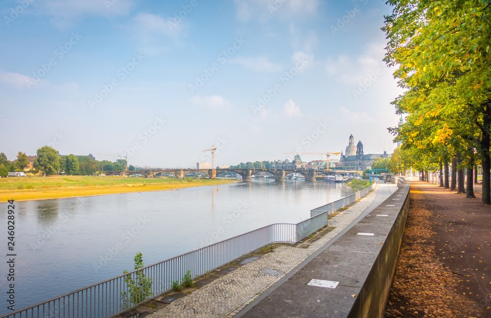 Fototapeta premium Dresden 