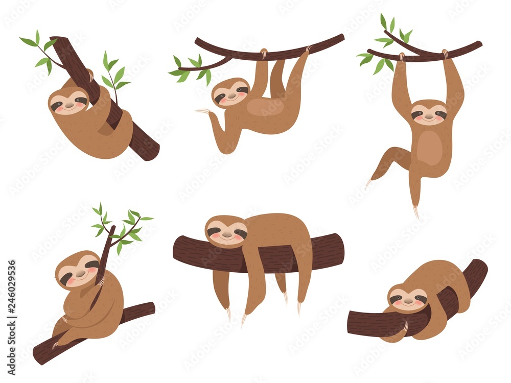 Sloth characters. Cute sleepy animal on branch tree kid climbing vector  cartoon mascot. Lazy sloth on branch, character sleepy illustration Stock  Vector | Adobe Stock