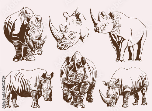 Graphical vintage set of rhinos ,retro illustration