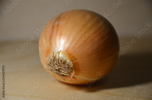 Onion on wooden undeground