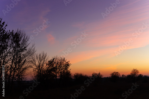 Blue time evening sky landscape with trees in foreground. Blue time sunset. Perfect teal and orange colors. Low-light underexposed photo