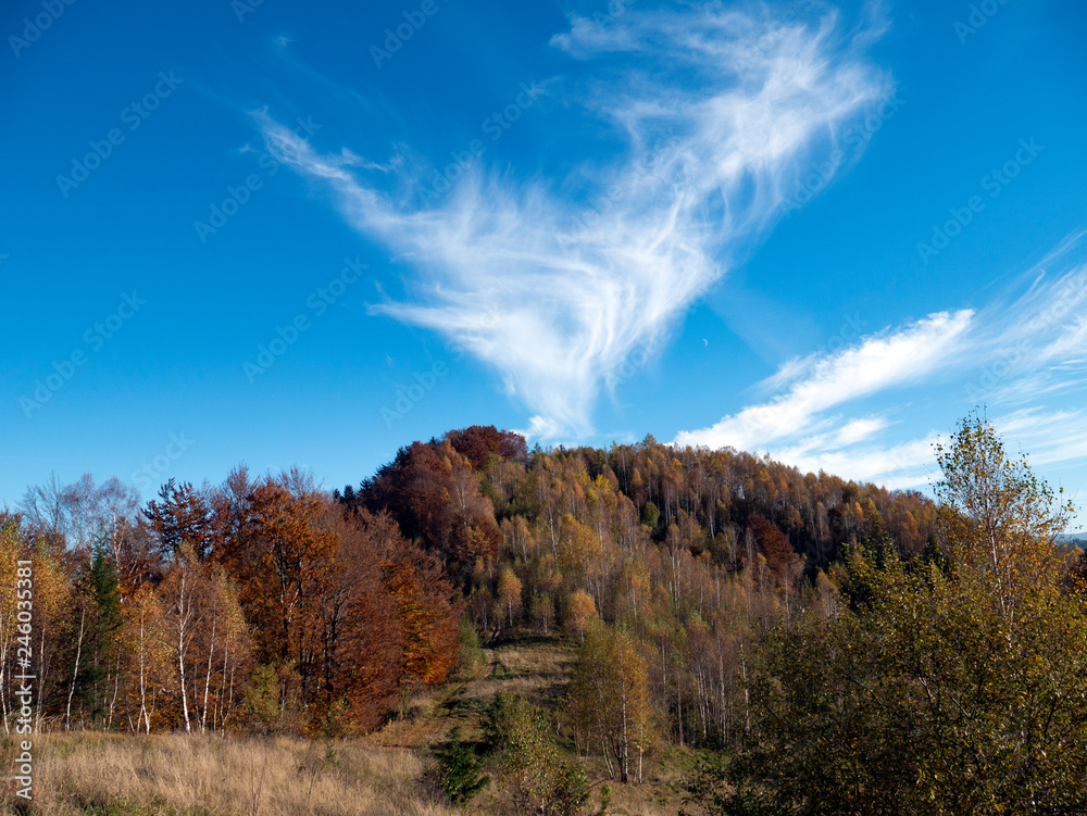 Fototapeta premium the mountain autumn landscape with colorful forest