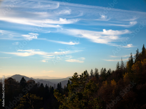 the mountain autumn landscape with colorful forest