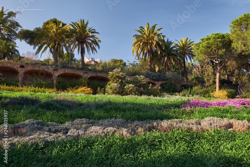 The Austria Gardens in the Park Guell with palms, pine trees, green grass and flowers. Spring in Barcelona.