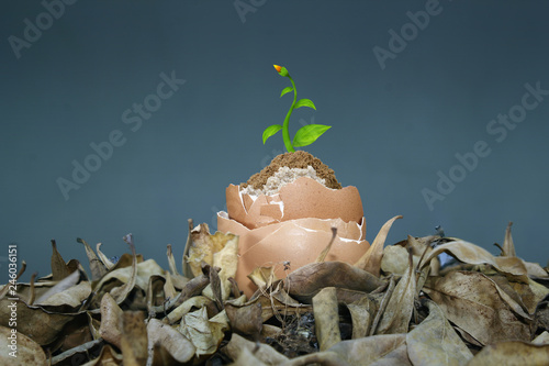save plants concept
