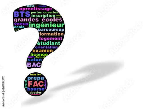 Nuage de mots : Orientation, études supérieures