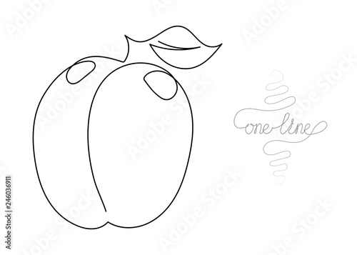 Continuous one line art drawing peach fruit