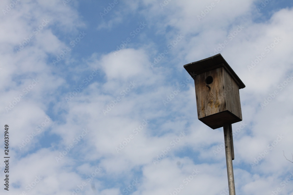 birdhouse on blue sky