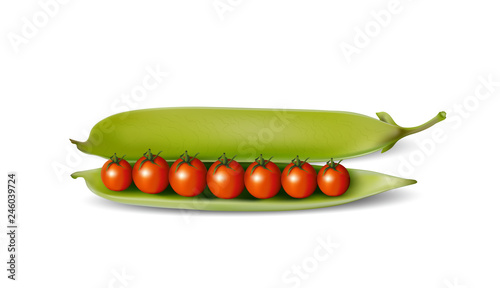 Erbse, geöffnete Erbsenschote mit Tomaten,  Gentechnisch veränderte Lebensmittel, Vektor Illustration isoliert auf weißem Hintergrund