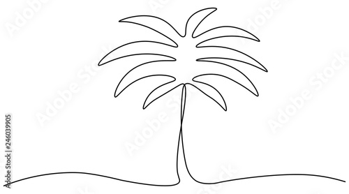 Palm tree isolated silhouette on white background one line draw, vector illustration.