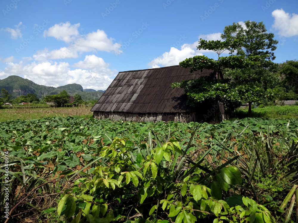 Casa de campo en Cuba