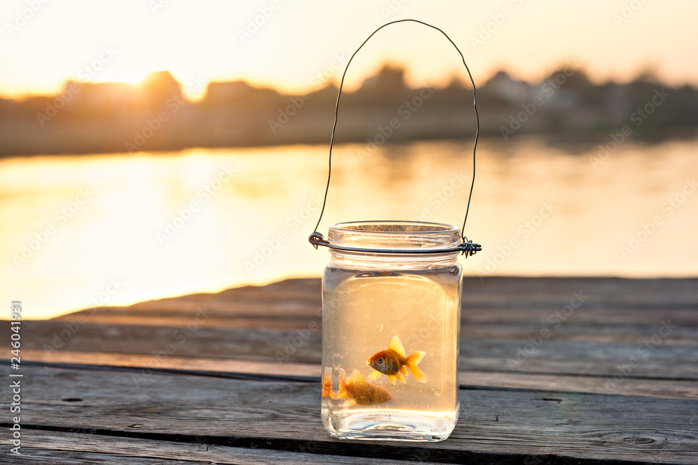 © farmuty - A beautiful girl is lying on the pier and a jar with a cool fish is next to her.