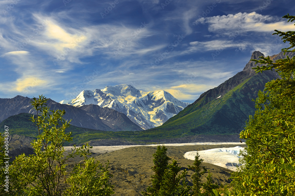 Root, Kennicott Glaciernear Kennicott Mine, Wrangell - St. Elias National Park, UNESCO World Heritage Site