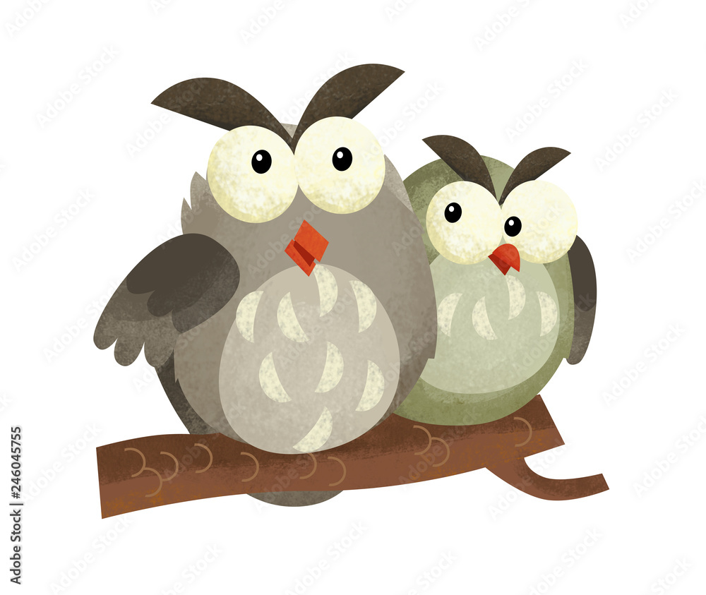 cartoon scene with owl animal on white background - illustration for children cartoon scene with owl animal on white background - illustration for children