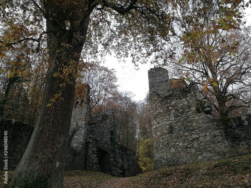 Quadro em tela Baum wie ein Wächter über die Burg Rodenstein im Odenwald
