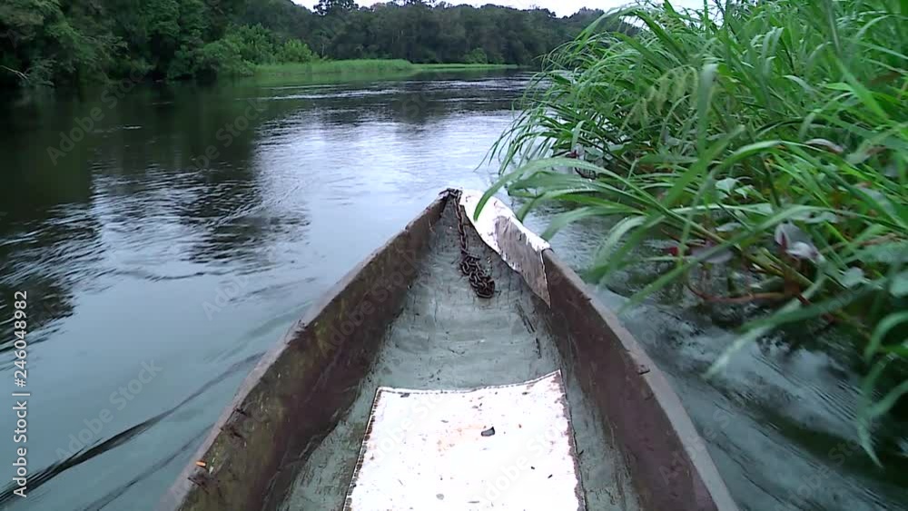 View From The Bow of a wooden Dugout Canoe On A Lake near grass Vegetation, Africa.