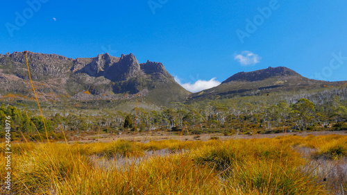 mt ossa and buttongrass plants on the overland track