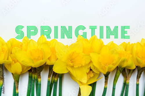 Fototapeta Naklejka Na Ścianę i Meble -  Spring floral background with yellow daffodil flowers