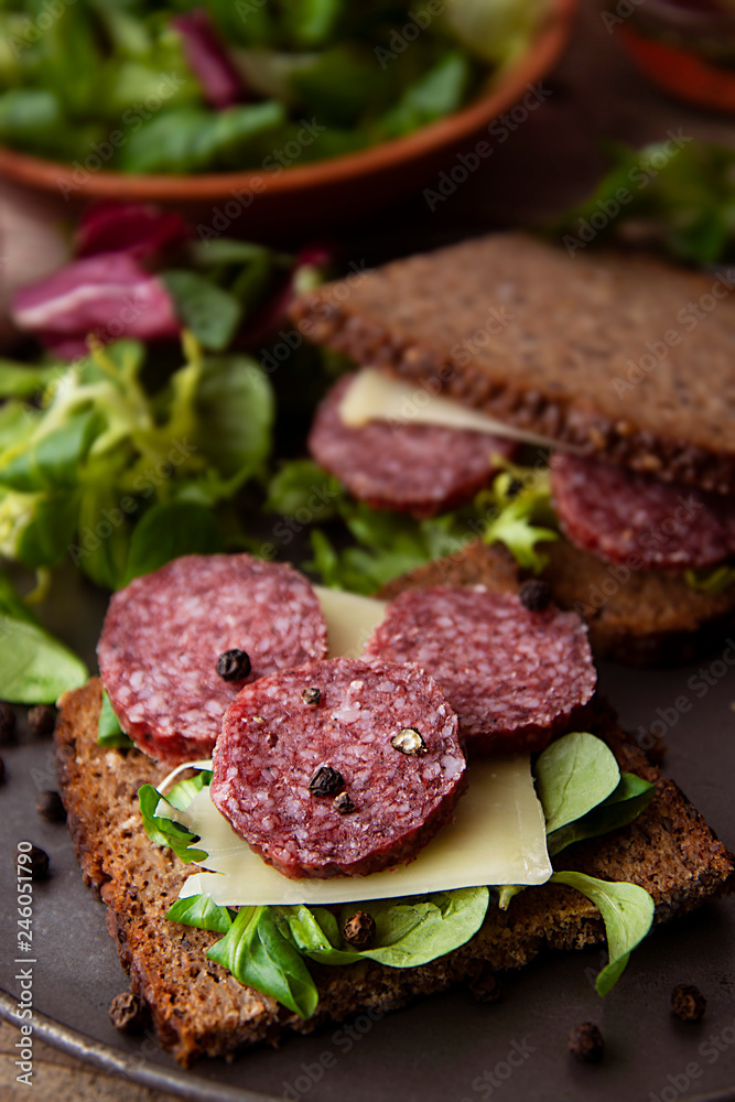 Salami sandwich. Open sandwich of salami slices on whole grain bread with green leaves and spices.