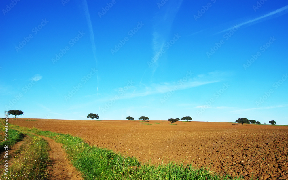 plowed field at south of Portuga, alentejo regionl