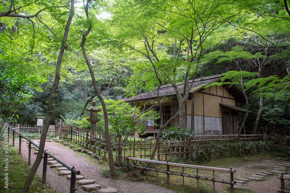 庭 庭