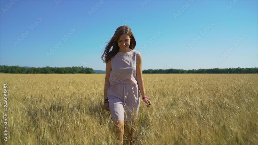 handsome brunette woman walks through a wheat field, turning and smiling at the camera. Slow Motion video, sunny blue sky day handsome brunette woman walks through a wheat field, turning and smiling at the camera. Slow Motion video, sunny blue sky day
