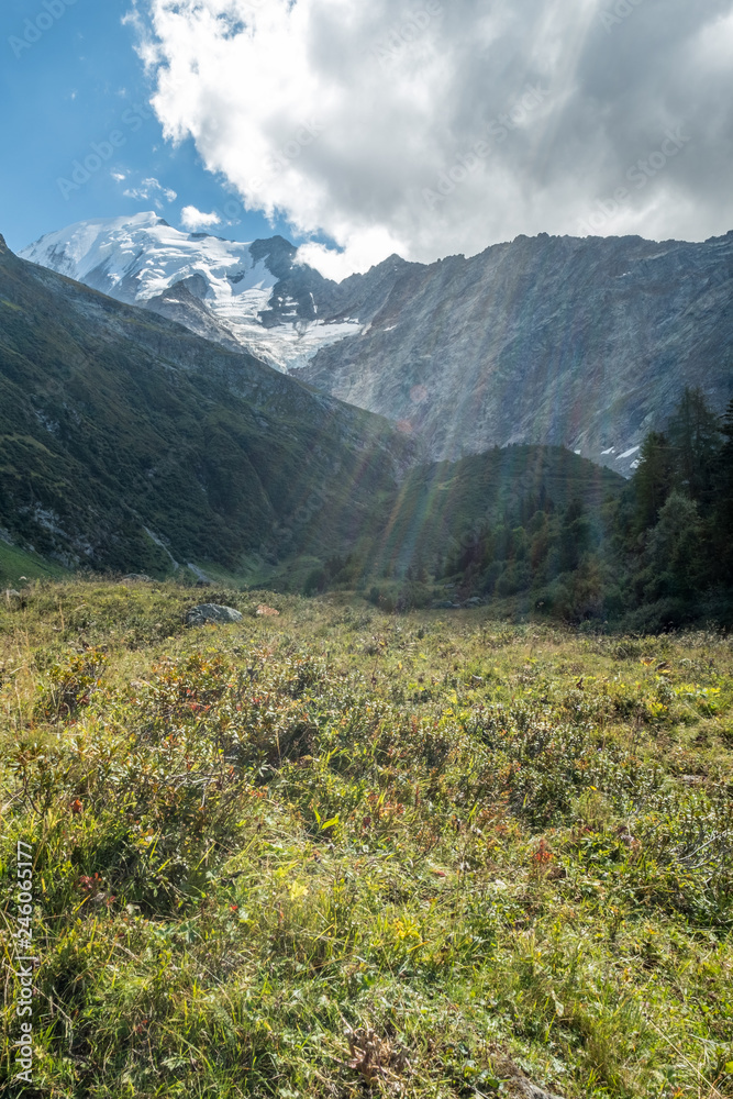 Dark cloud allows radiating sunbeams to brighten meadows, Bionassay, France