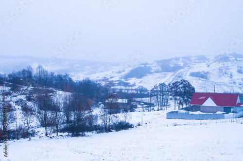 Winter landscape with trees covered in snow