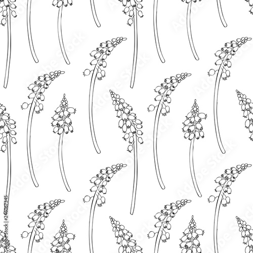 Seamless floral vector pattern Muscari flower hand drawn ink sketch isolated on white background, graphic hyacinth line art texture for package, florist shop, cosmetic design, wedding invitations