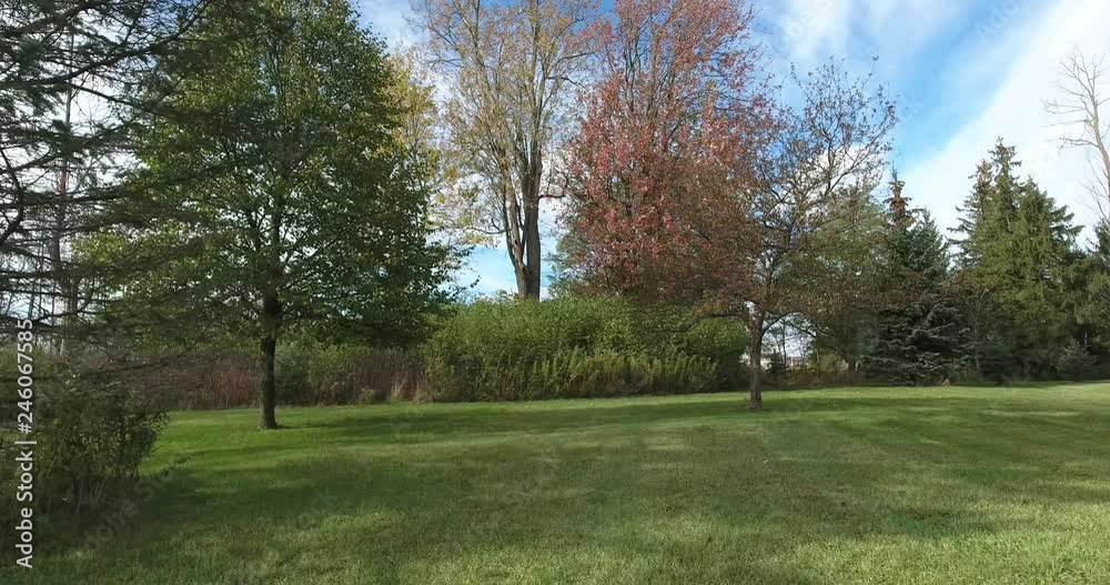 Walking Through Backyard With Trees Blue Sky And White Clouds First Person View Walking Through Backyard With Trees Blue Sky And White Clouds First Person View