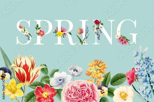 Spring floral background illustration