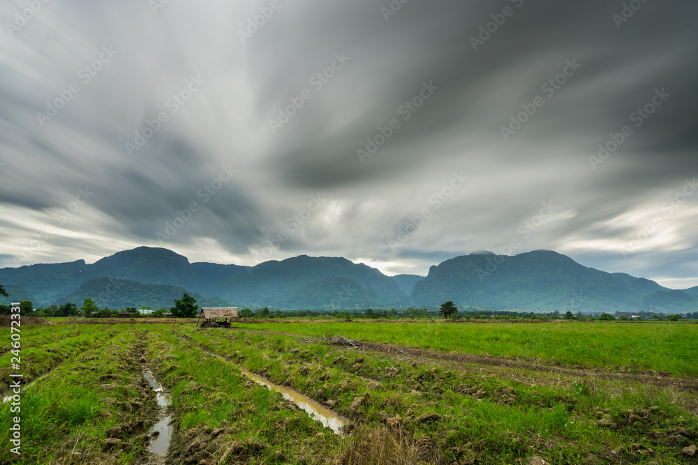 Paddy rice field with storm clouds and Doi Nang Non Mountains background in Chiangrai Thailand