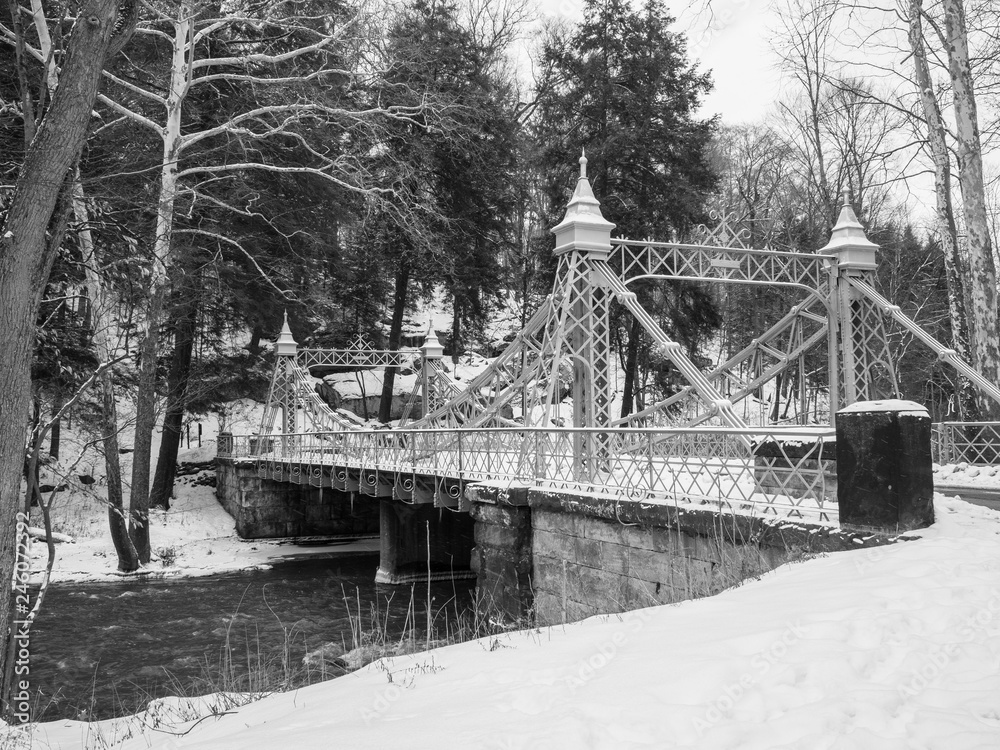Obraz premium Winter Bridge Scene