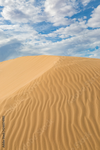 The Algodones Sand Dunes in California