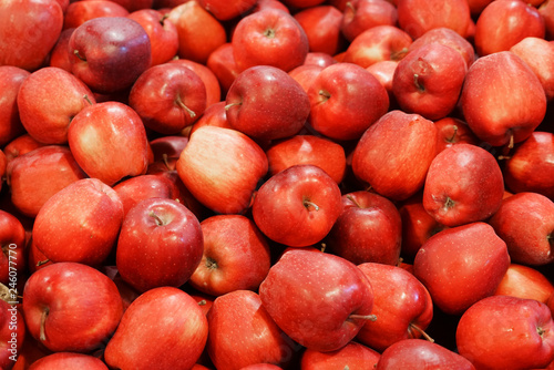 Fresh picked red delicious apples background in the harvest season