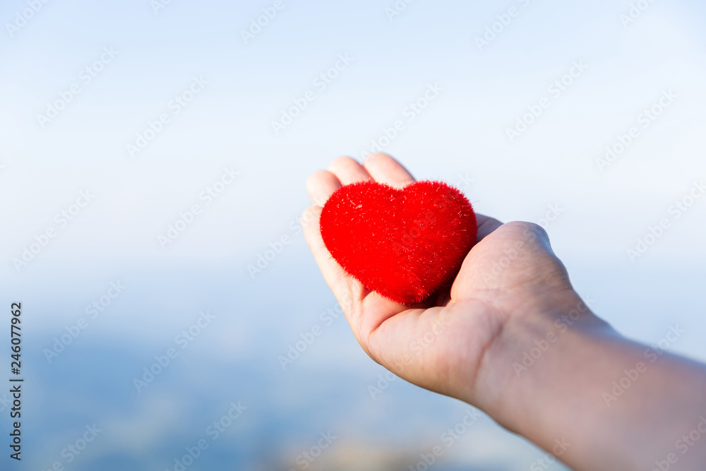 Red heart on hand nature background in love and peace concept Red heart on hand nature background in love and peace concept